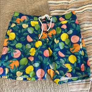 Abercrombie Fruit Swim Trunks